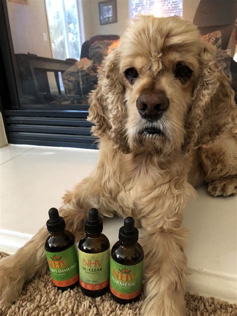 Every pet responds to natural herbal supplements differently, therefore it is important to be consistent and administer the product daily. . Nhv natural pet